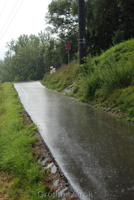 egyetlen hozott bodensee megfelelnek a nők döntések