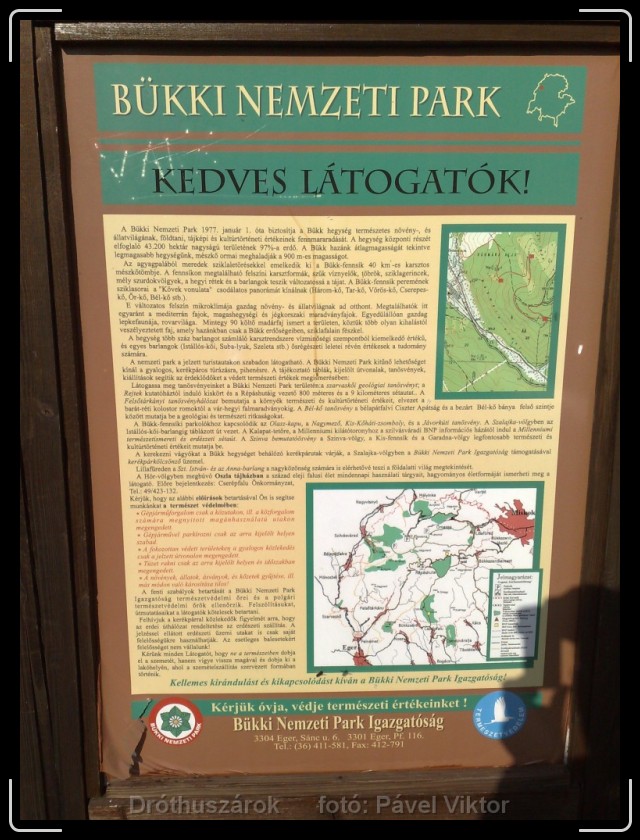 Következő dia