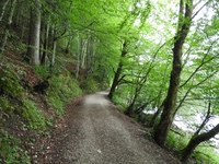 Schwarzensee