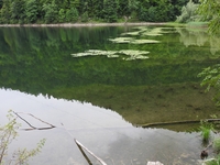 Schwarzensee