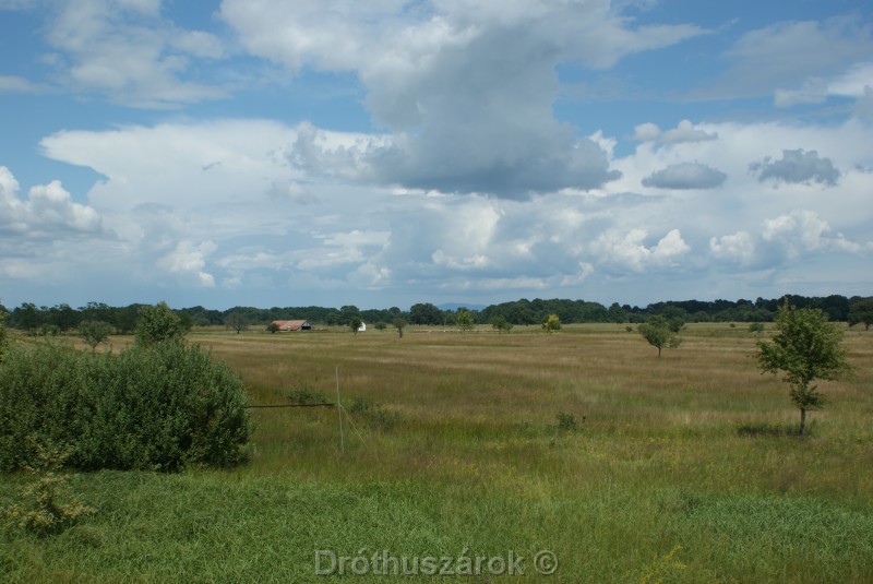 Következő dia