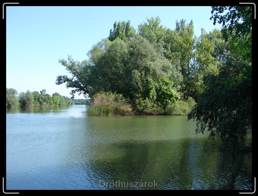 Következő dia