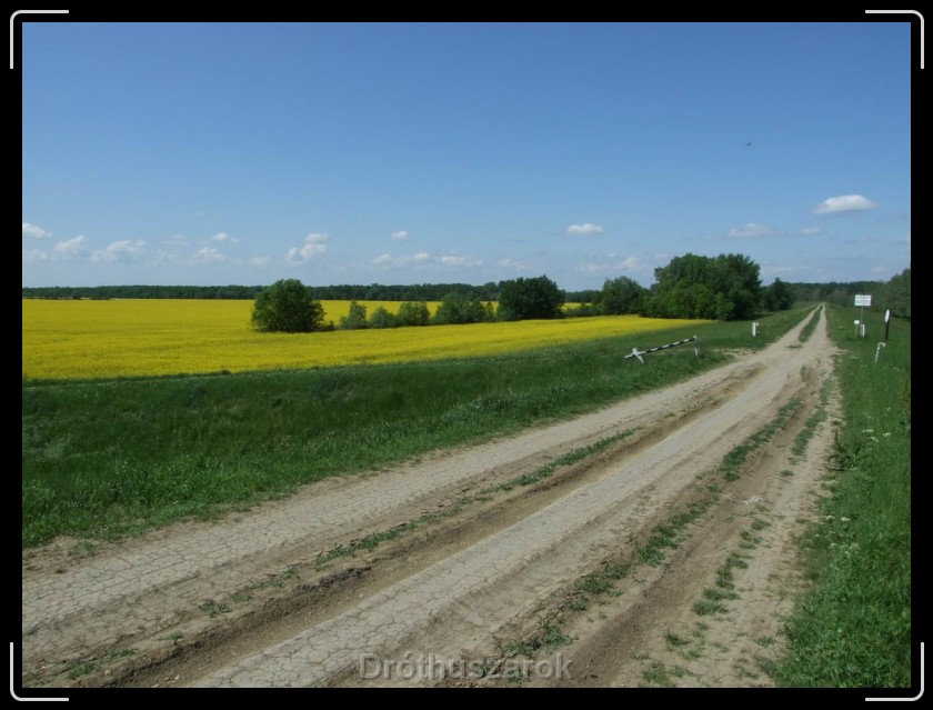 Következő dia