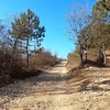 Mountain bike túrák