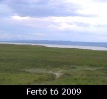 Fert t 2009