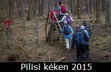 Puilisi kken gyalogtra 2015