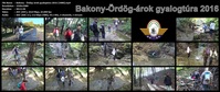 Bakony - Ördög-árok gyalogtúra 2016